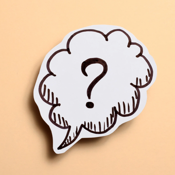 🛎️ Ils sont de retours !!!