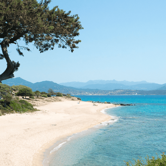 Corsica LiliWarrior Experience