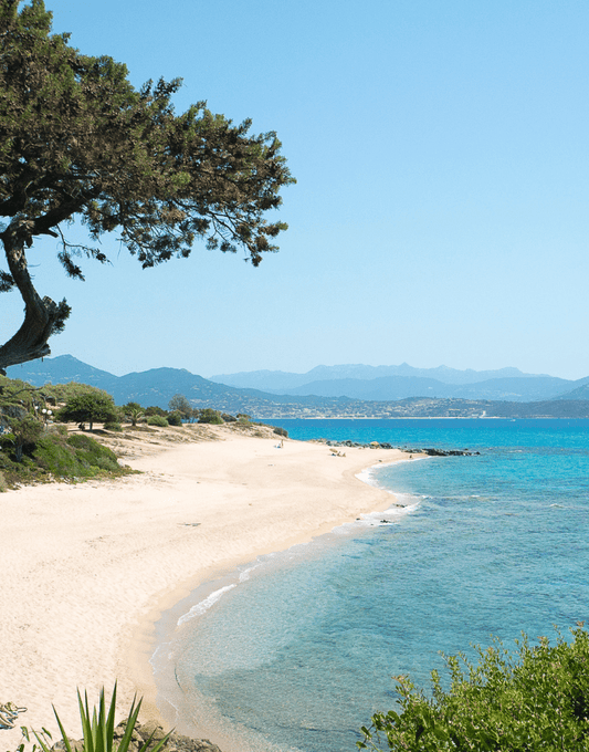 Corsica LiliWarrior Experience