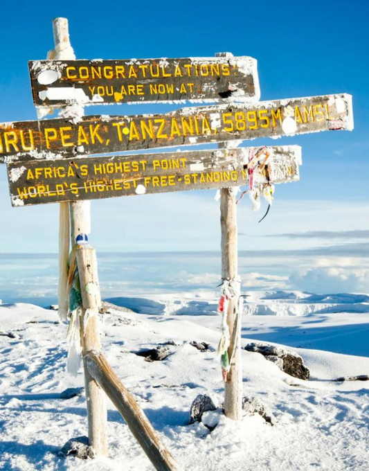 Ascension Kilimanjaro avec Valérie Orsoni + Safari 3 jours (optionnel)