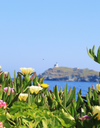 The Longevity Week 5★ Experience with Valérie Orsoni – Corsica 2027 (4th Edition)
