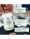 Rhodiola Rosea Bio | 90 gélules